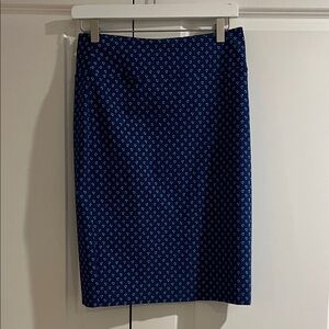 Blue Patterned Women's Skirt